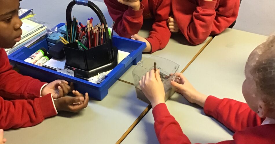 Spring 1- week 5 – The Webspace For Class 3